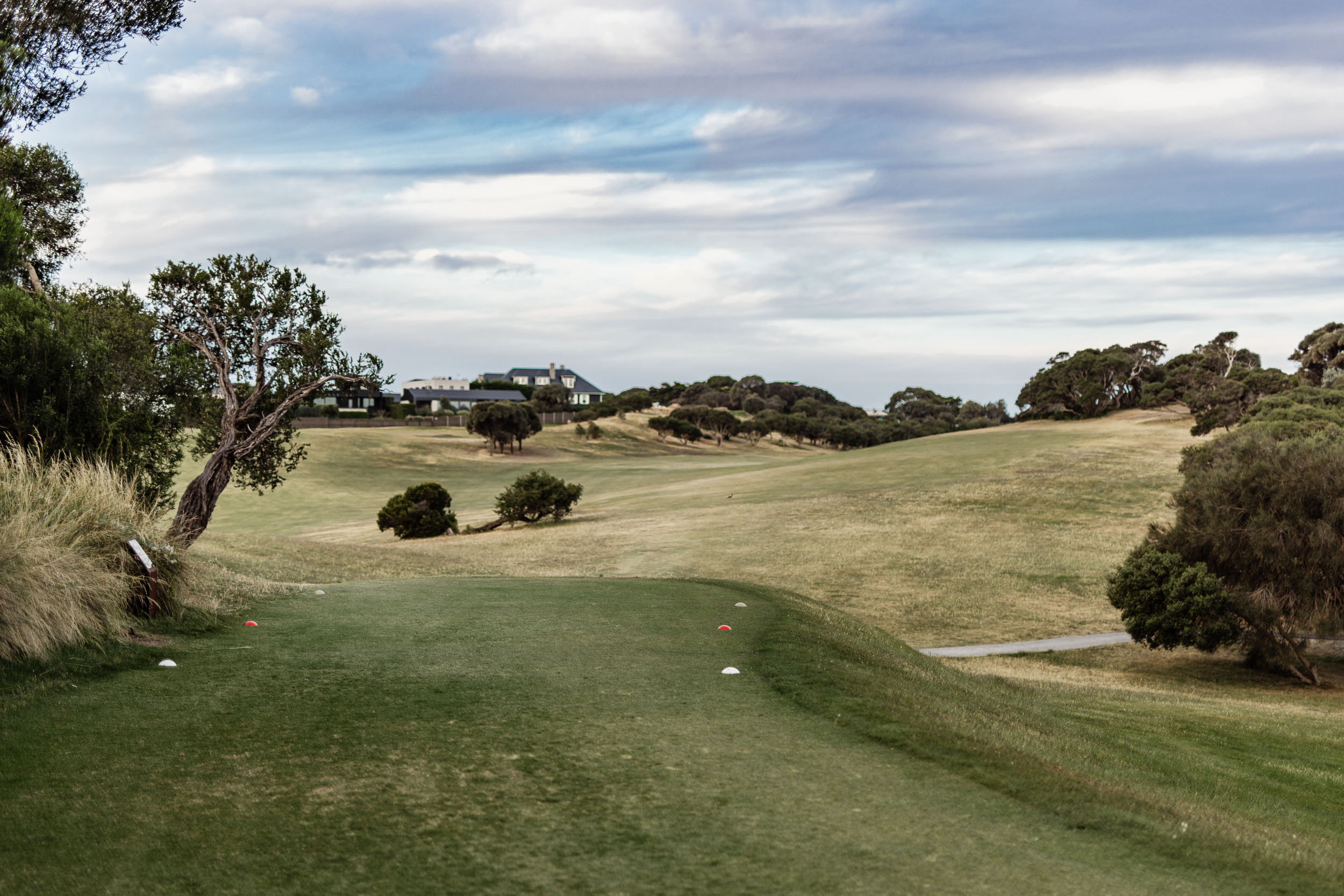 Bunkers, Greens and Grass